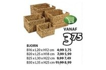 bjorn manden en opbergdozen