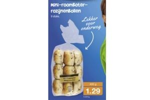 mini roomboter rozijnenbollen