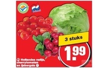 hollandse radijs cherrytomaten en ijsbergsla