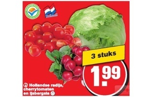 hollandse radijs cherrytomaten en ijsbergsla