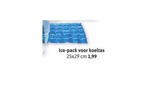 ice pack voor koeltas