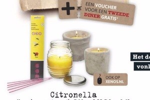 citronellakaars in cementen potje