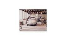 beetle foto op acryl