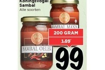 koningsvogel sambal
