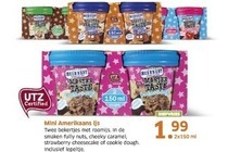 mini amerikaans ijs