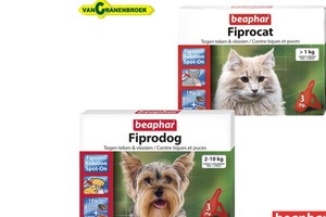 fibrodog of fibrocat