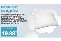 hoofdkussen spring pillow
