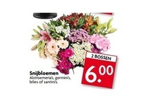 snijbloemen