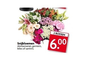 snijbloemen