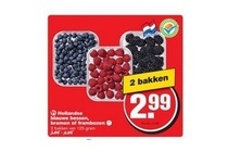 hollandse blauwe bessen bramen of frambozen