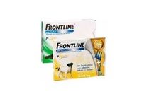 frontline