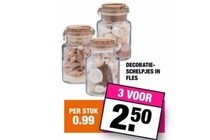 decoratieschelpjes in fles