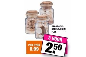decoratieschelpjes in fles