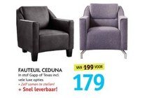 fauteuil ceduna