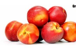 grote perziken of nectarines los