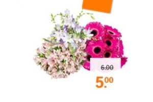 ah seizoensbloemen